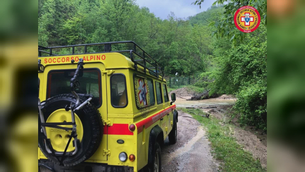 Cutigliano Muore Schiacciato Da Un Albero Nel Bosco Notizie TVL TV