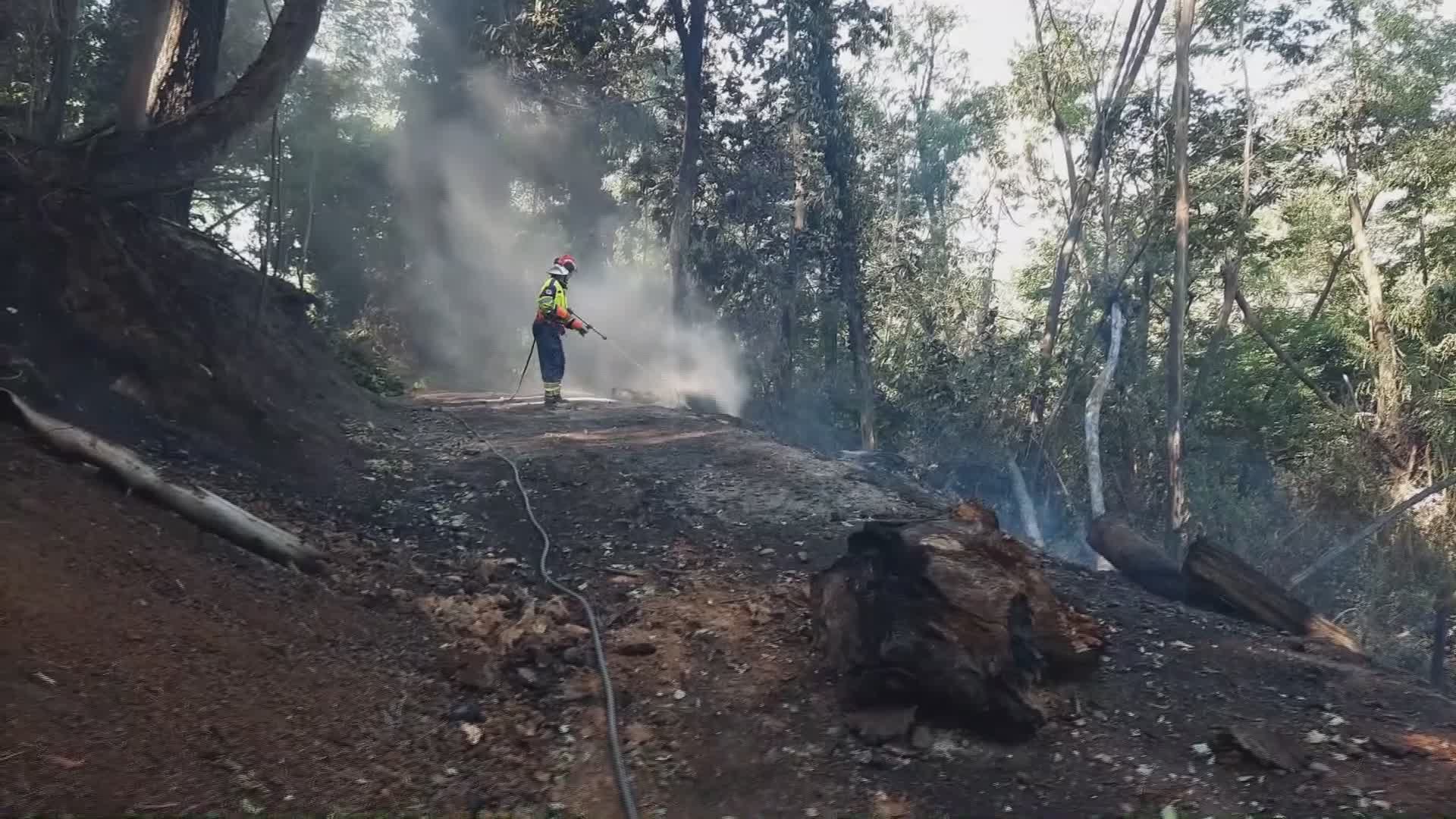 Pescia. In fumo 15 ettari di castagneti