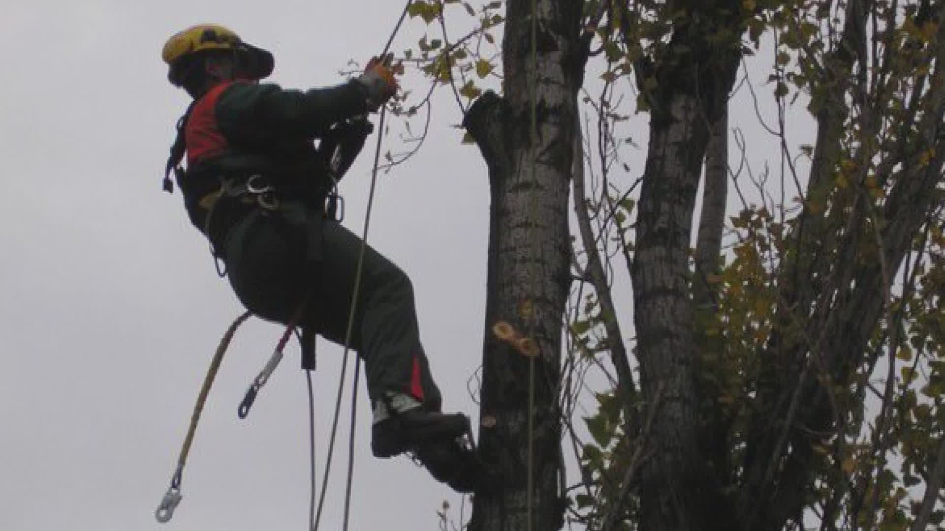 Blackout a Serravalle P.se per il forte vento