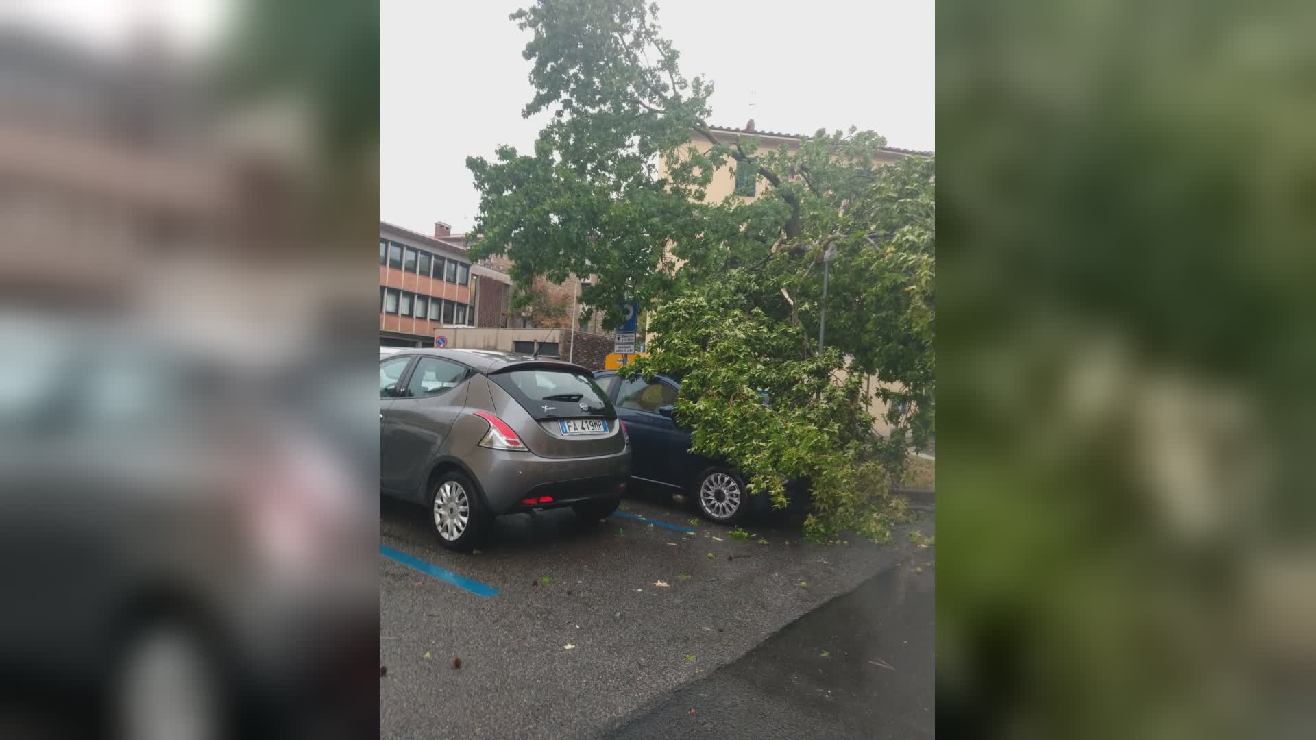 Maltempo: bufera di vento e pioggia