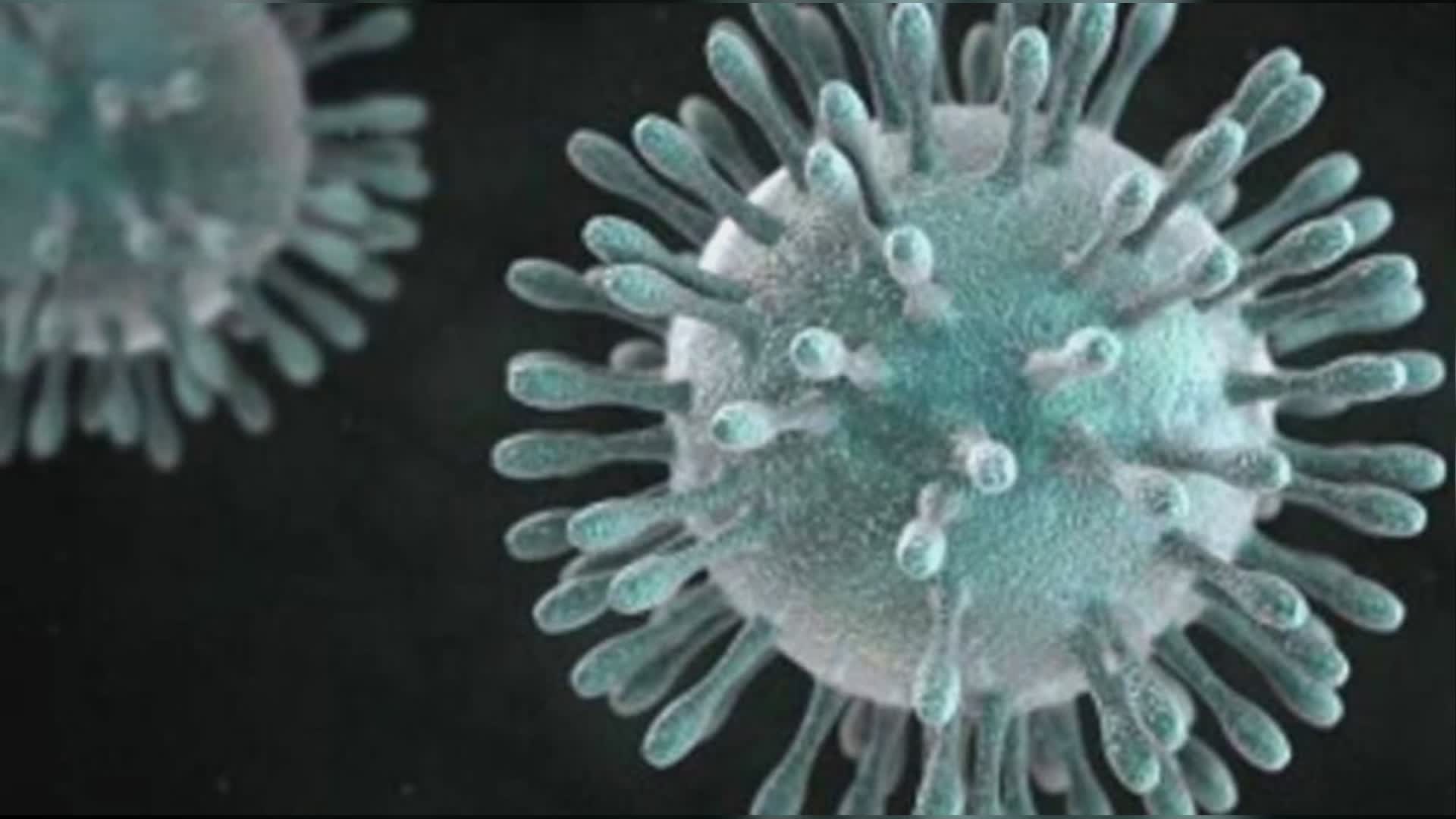 Coronavirus 26 novembre 2022