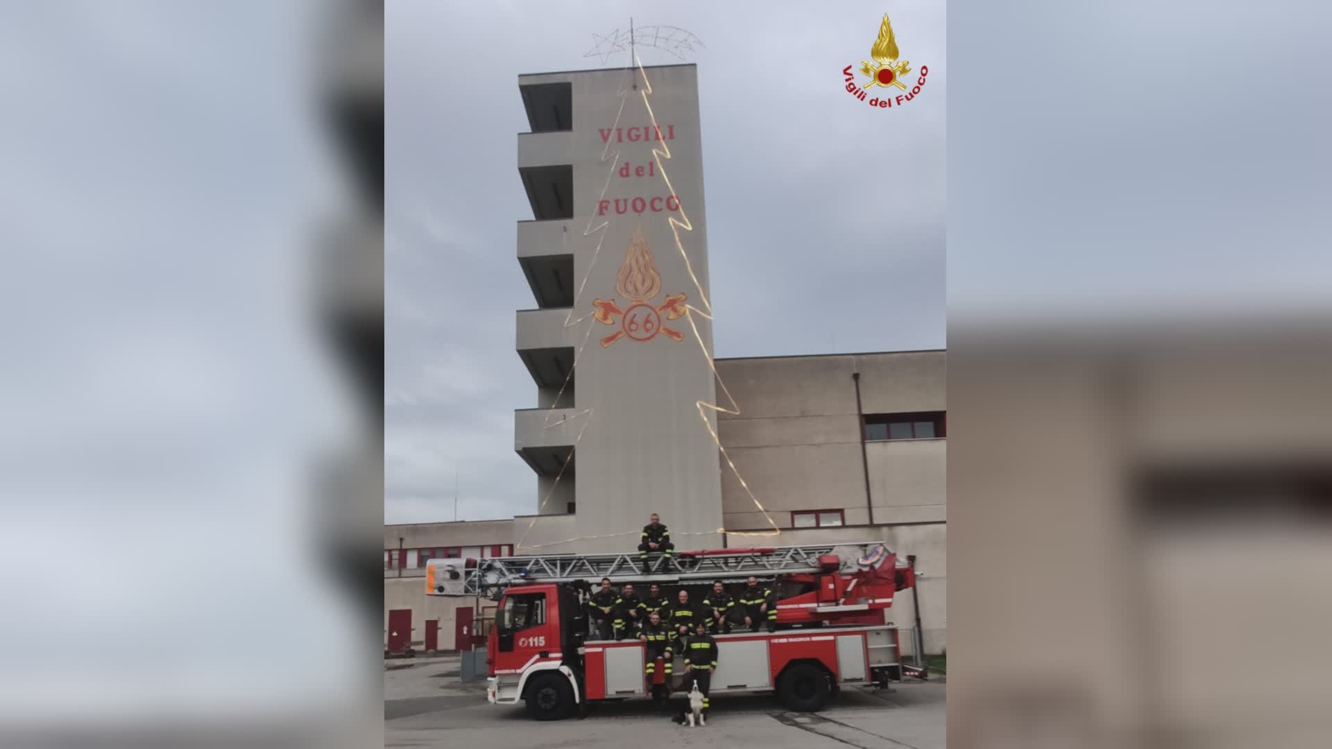 Albero Vigili fuoco