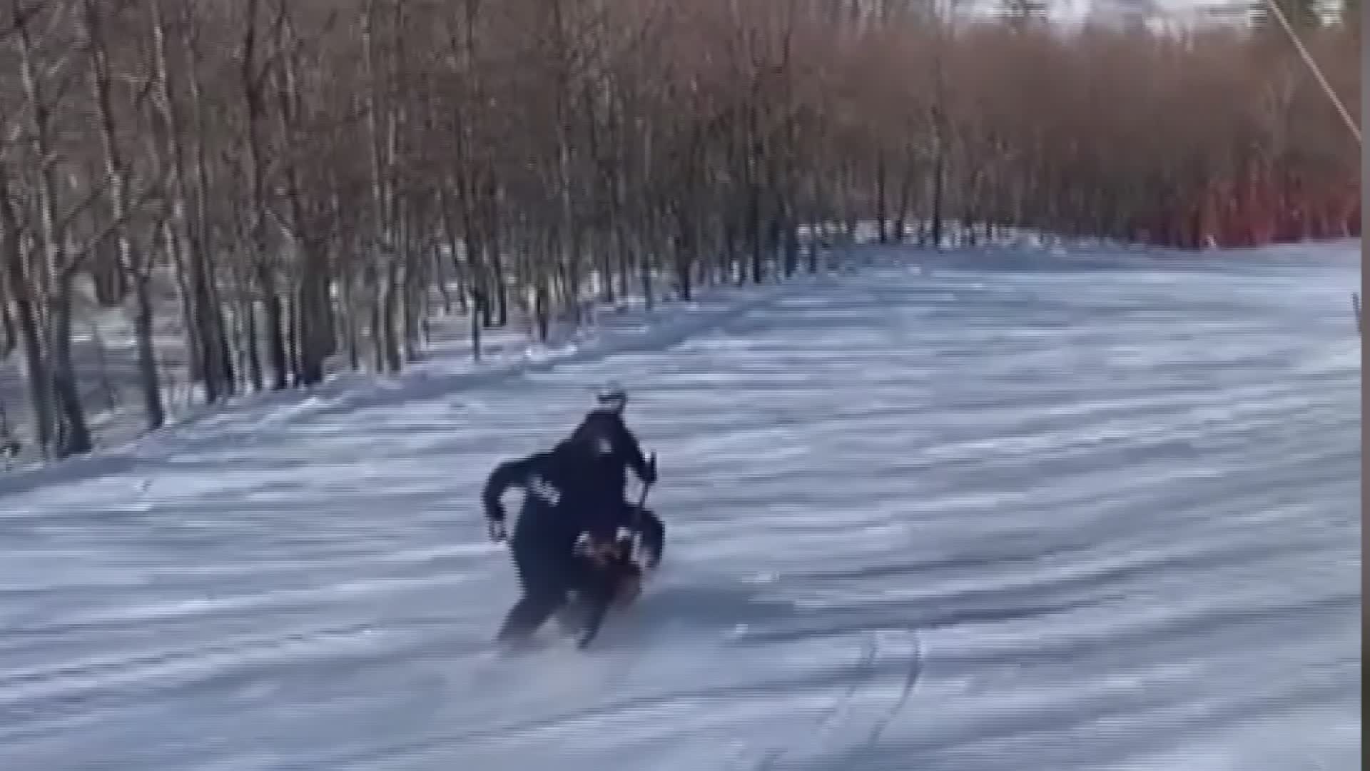 Abetone. Grave sciatore sulle piste del Pulicchio