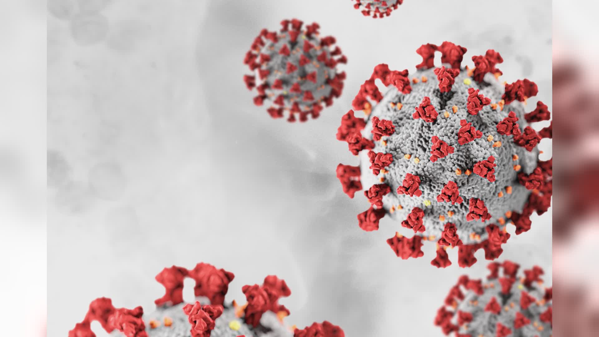 Il bollettino del Coronavirus del 23 febbraio 2023