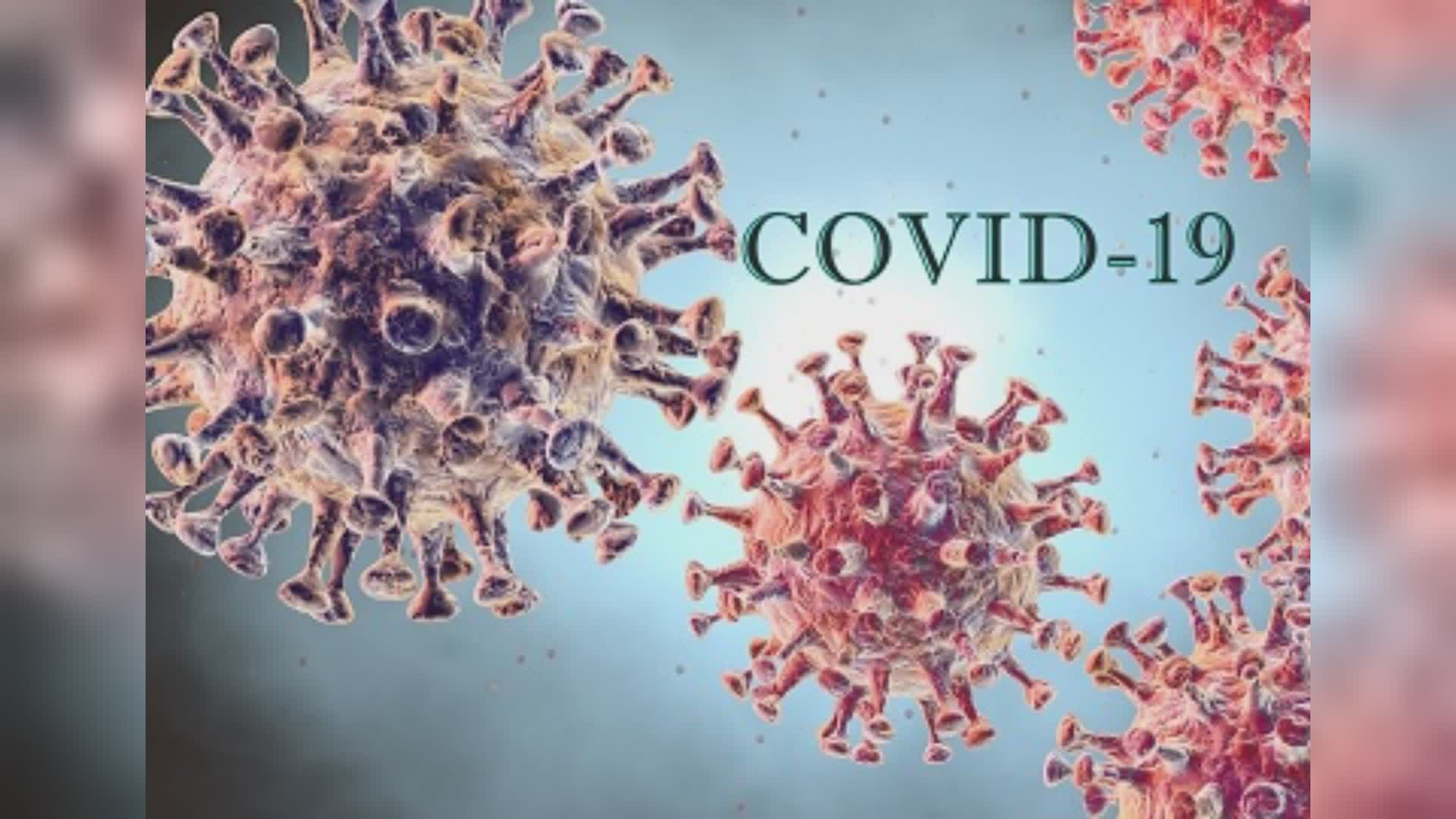 Coronavirus 05 marzo 2023