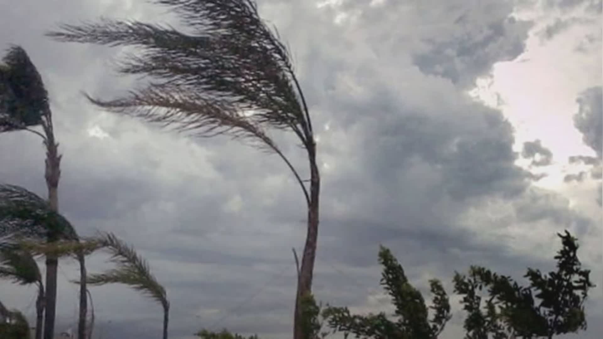 Meteo: Toscana, codice giallo per vento (mercoledì 8 marzo)