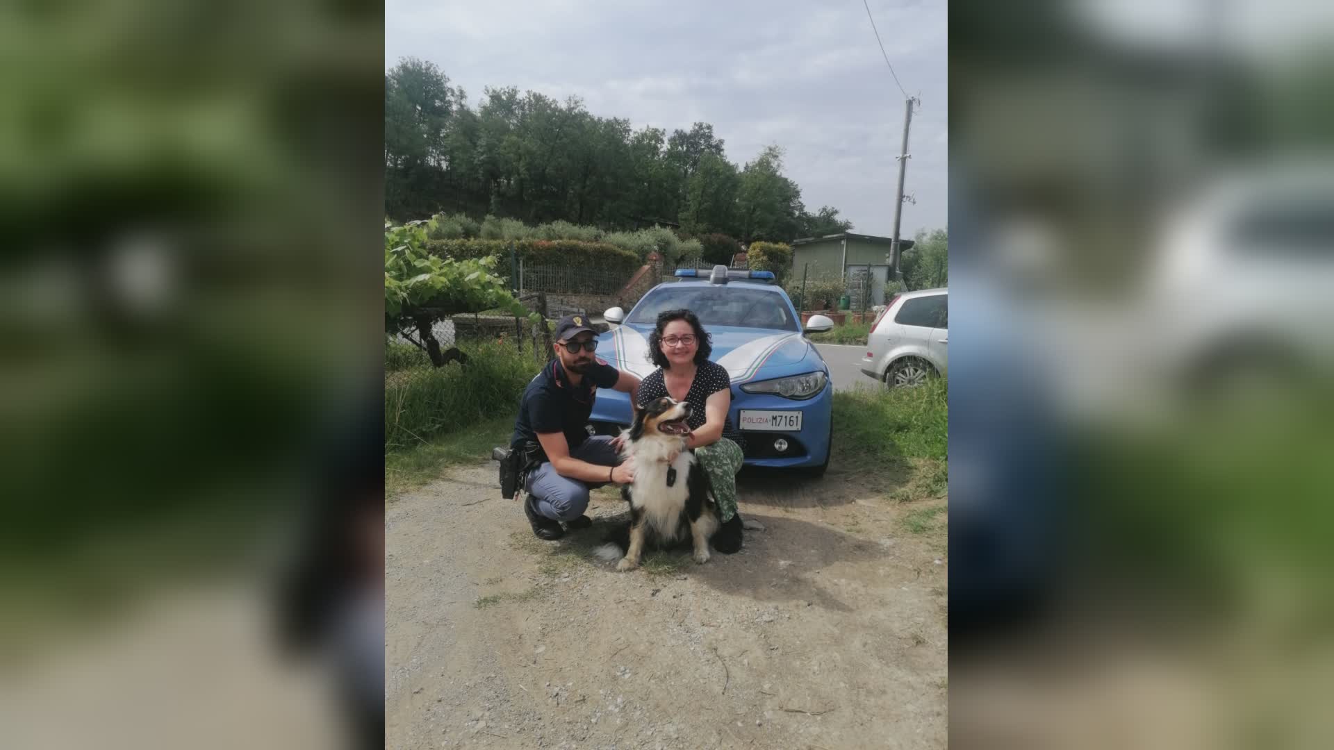 Pistoia. Polizia soccorre cane che vagava sulla statale