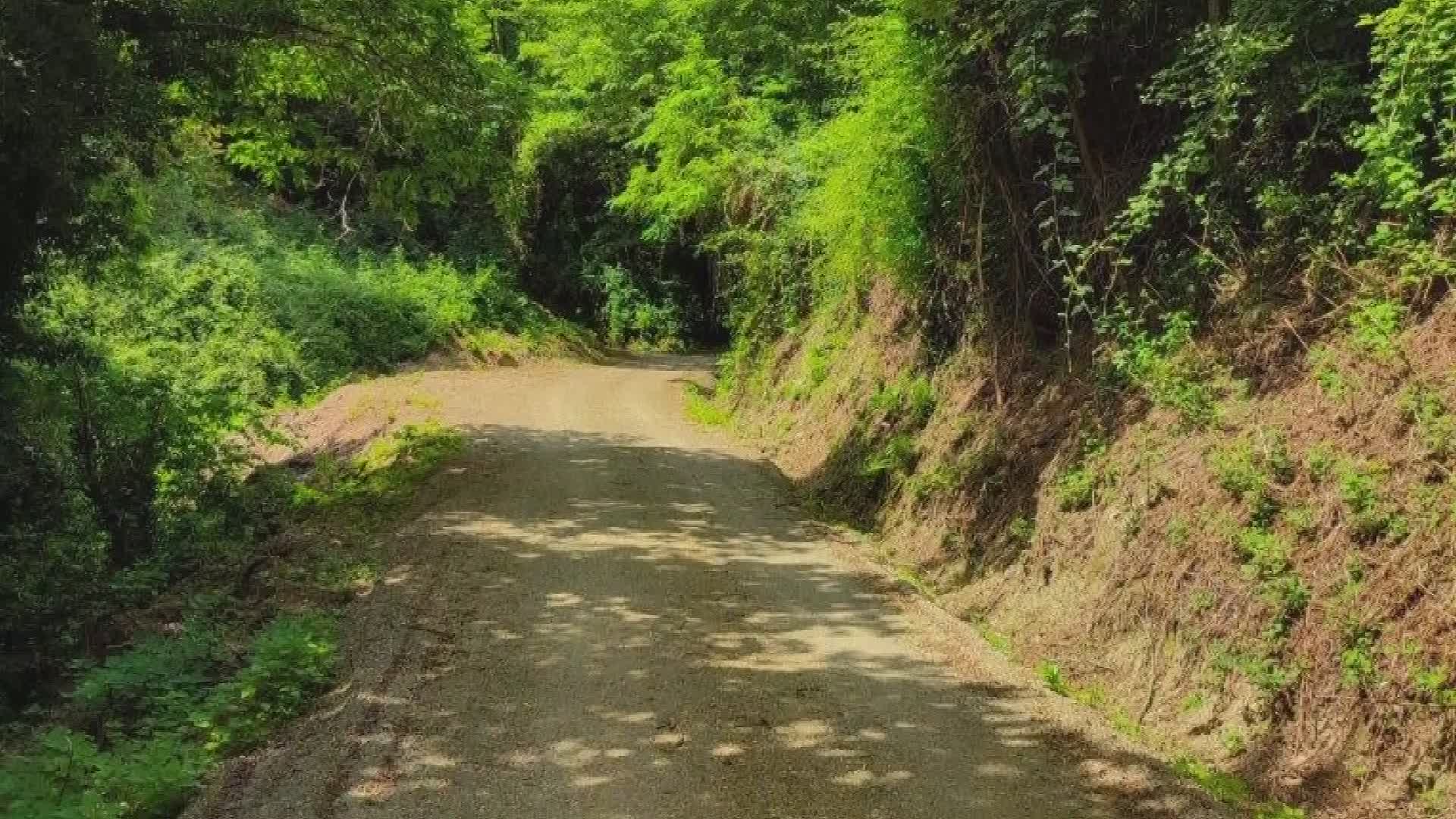 San Marcello - Risistemate alcune strade bianche montane