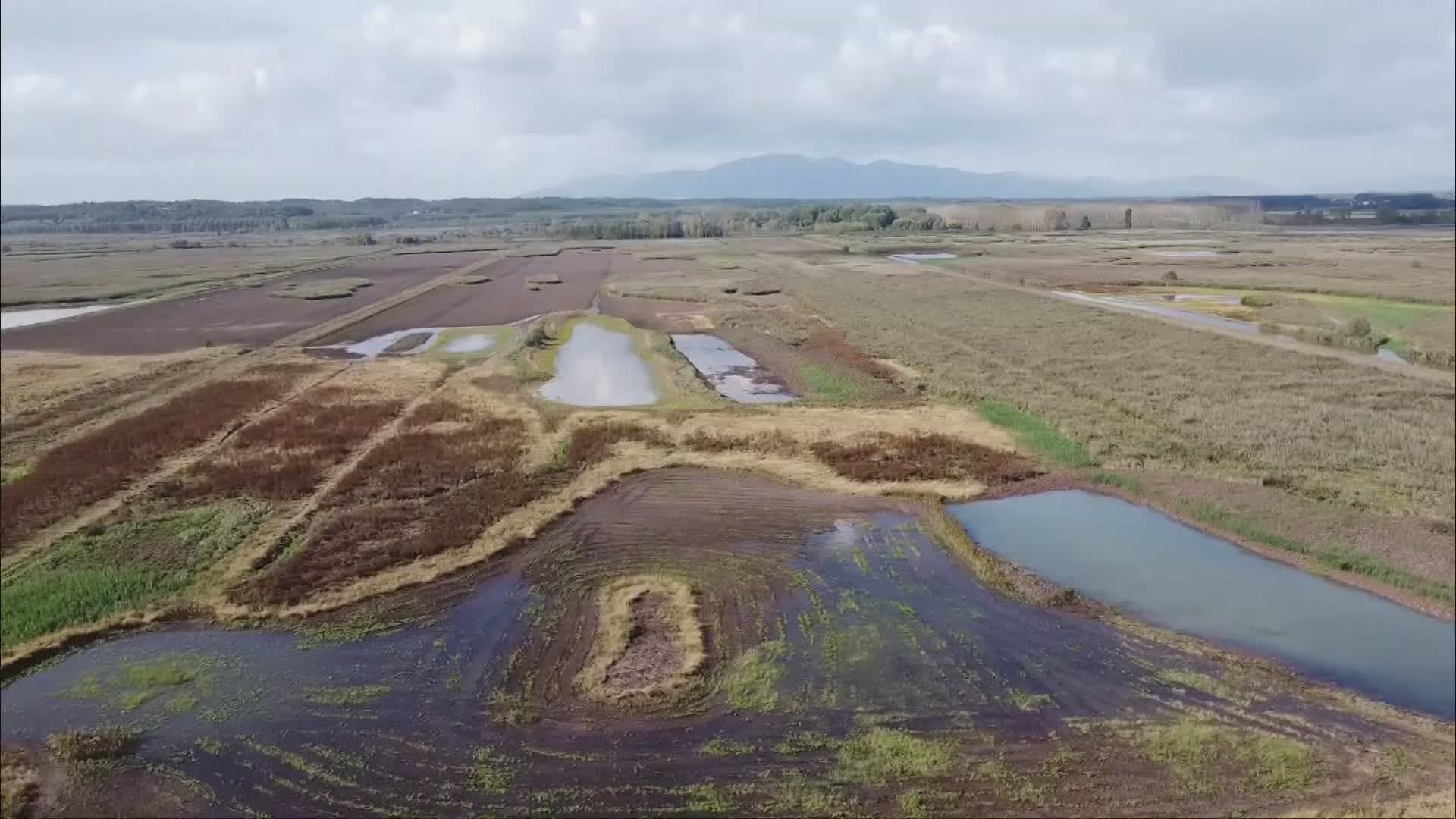 Padule - Raccolta plastiche vicino a Riserva delle Morette