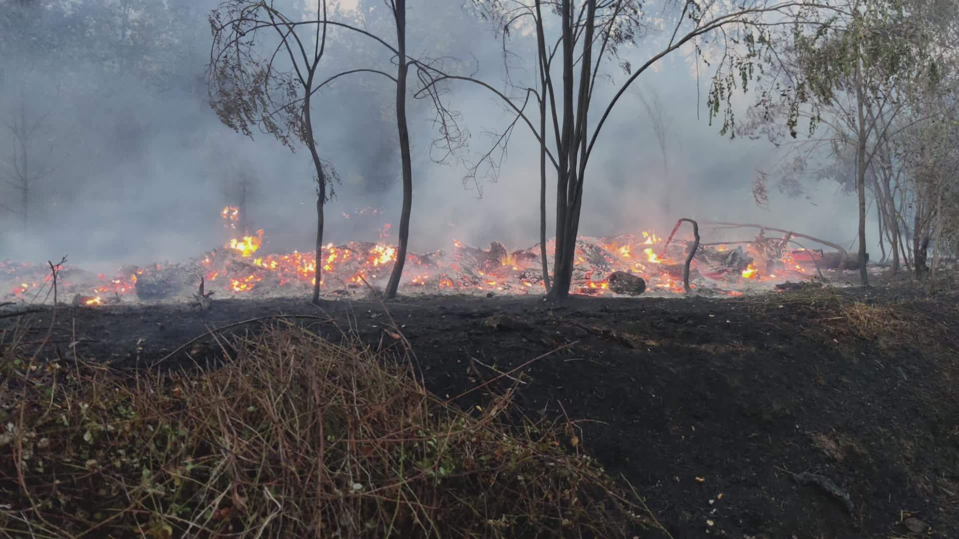 Incendio nella zona di Pieve a Celle (Pt)