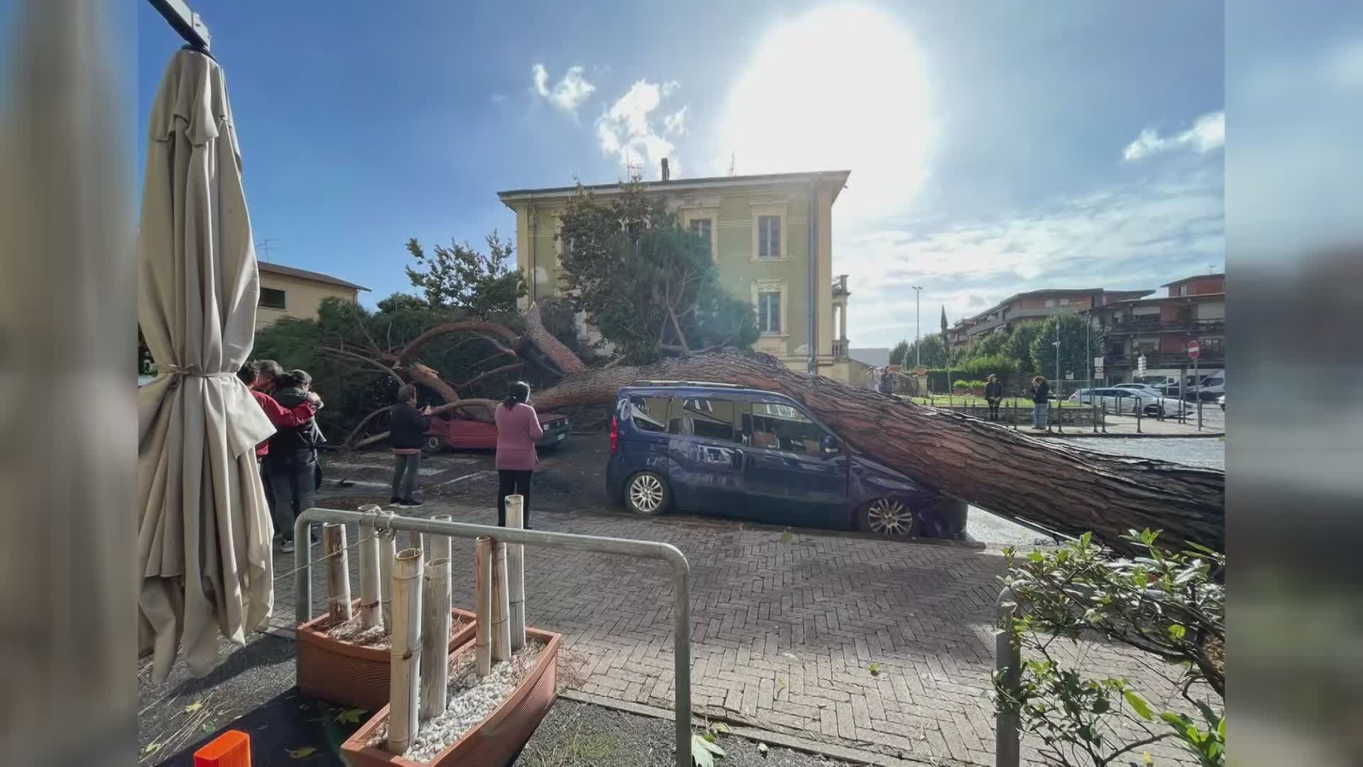 Maltempo, a Montecatini un albero su di un'auto