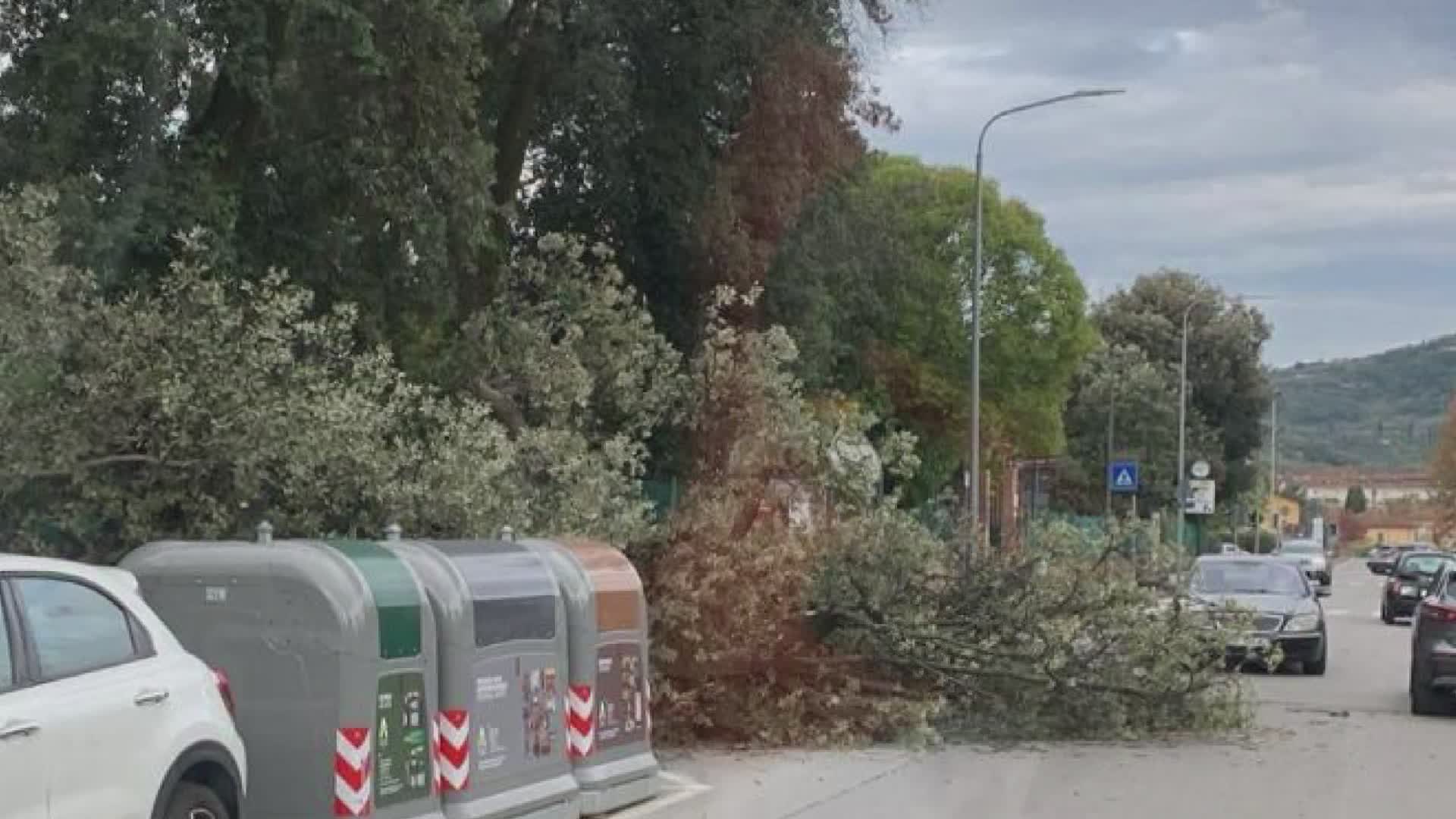 Maltempo: vento forte a Pistoia e provincia