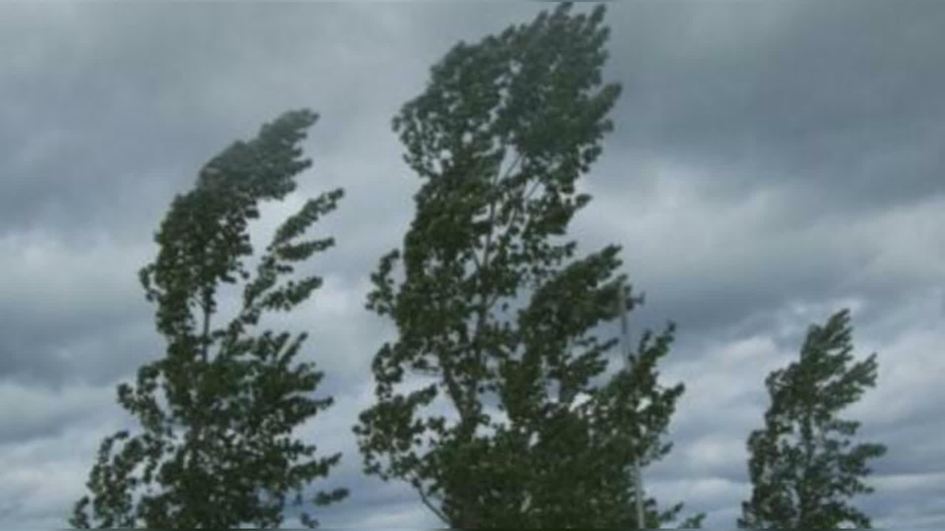 Meteo,Toscana: in arrivo vento forte