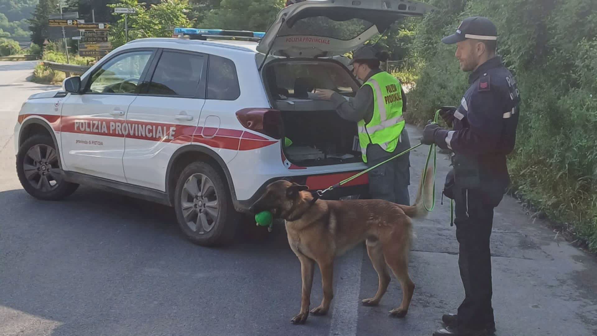 Serravalle P.se: controllo del territorio