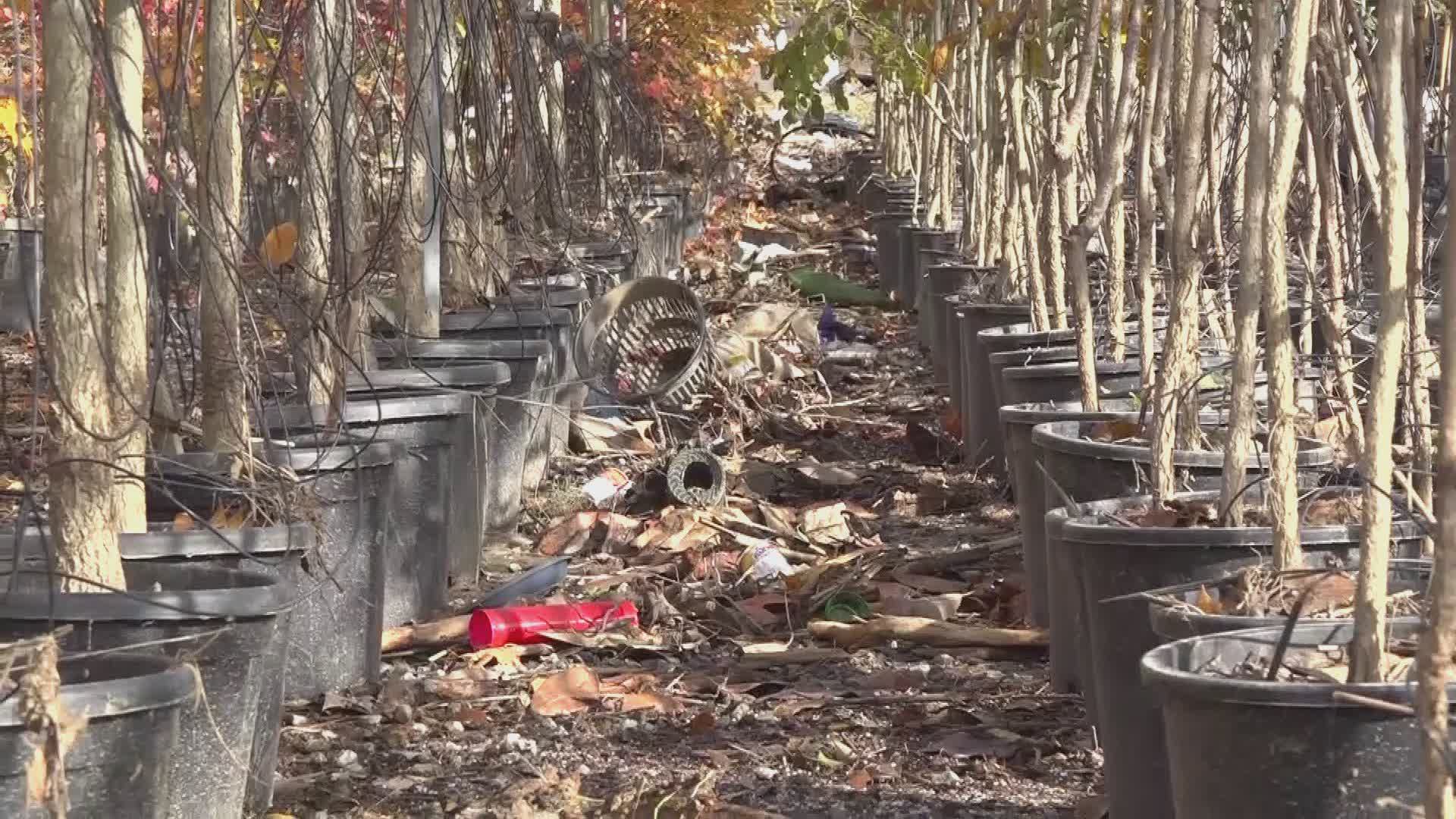 Agricoltura, danni alluvione novembre, domande ammesse