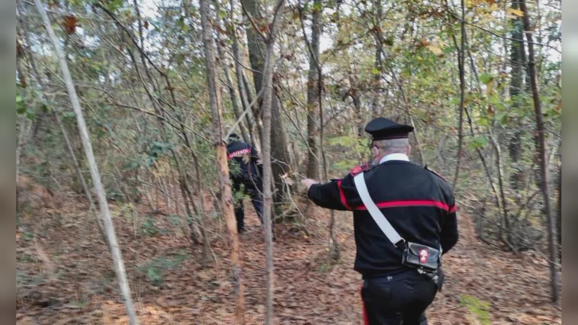 Larciano, 58enne muore schiacciato da un albero