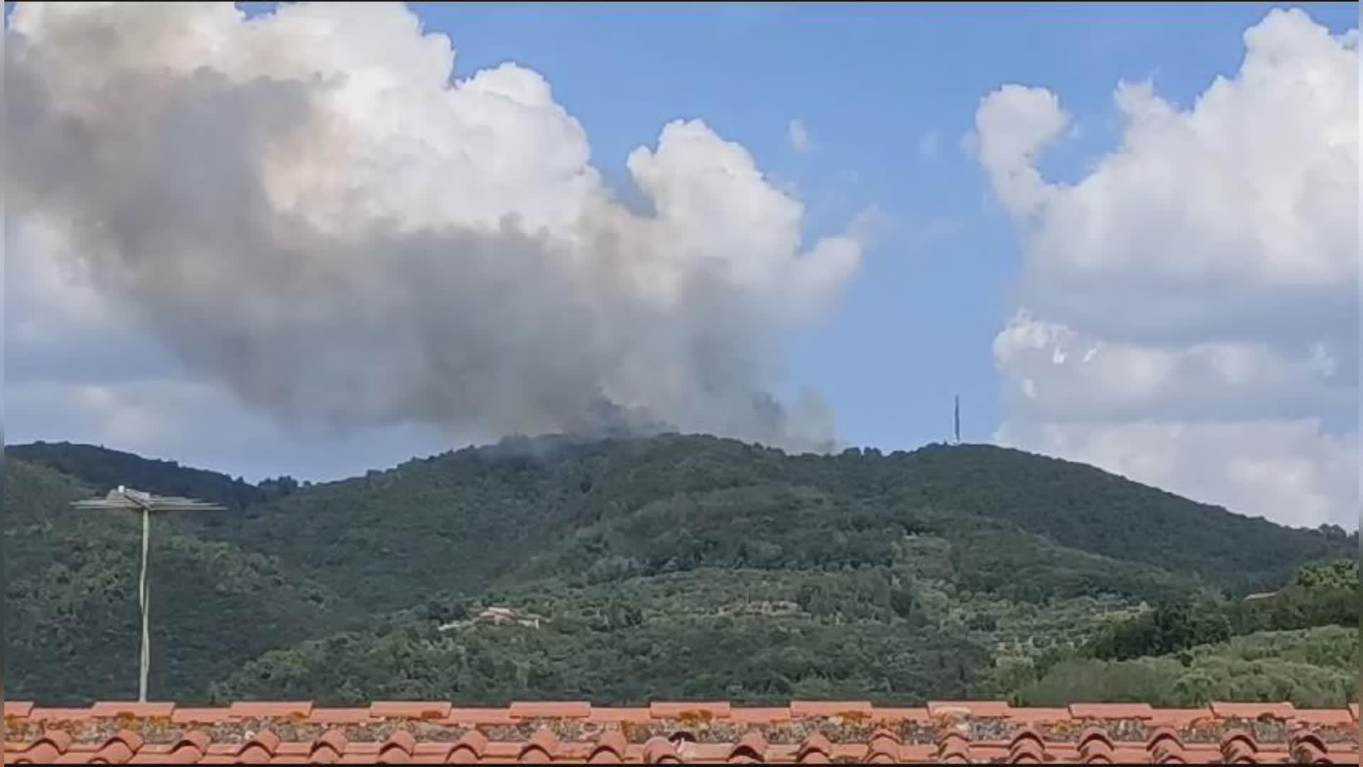 Esteso incendio boschivo in zona Montevettolini