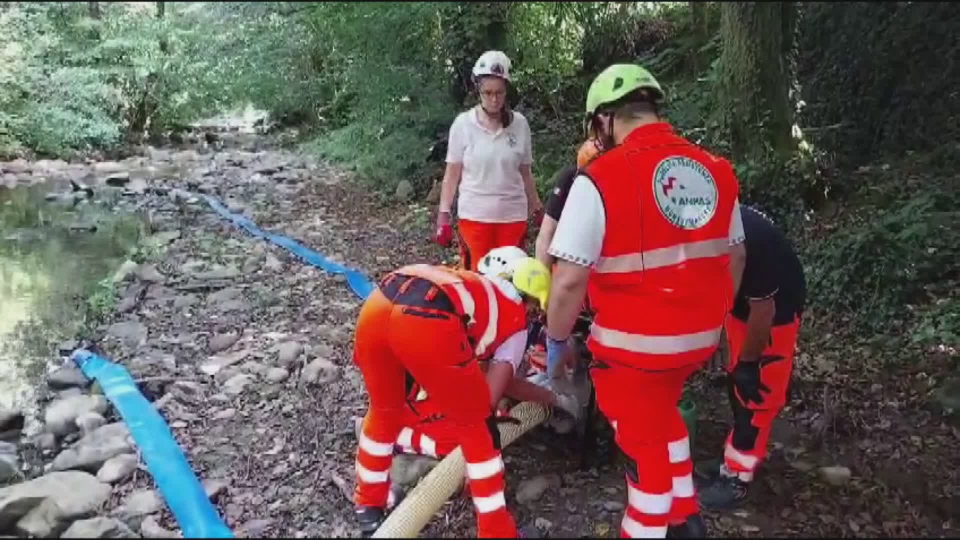 Montagna P.se- L'esercitazione della Protezione Civile