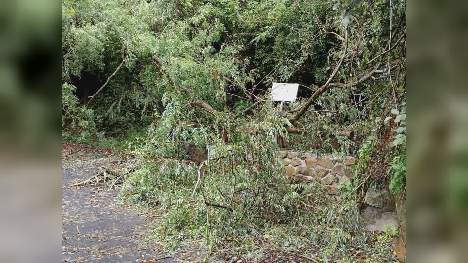 Uzzano: frana risolta in località "Pianacci"