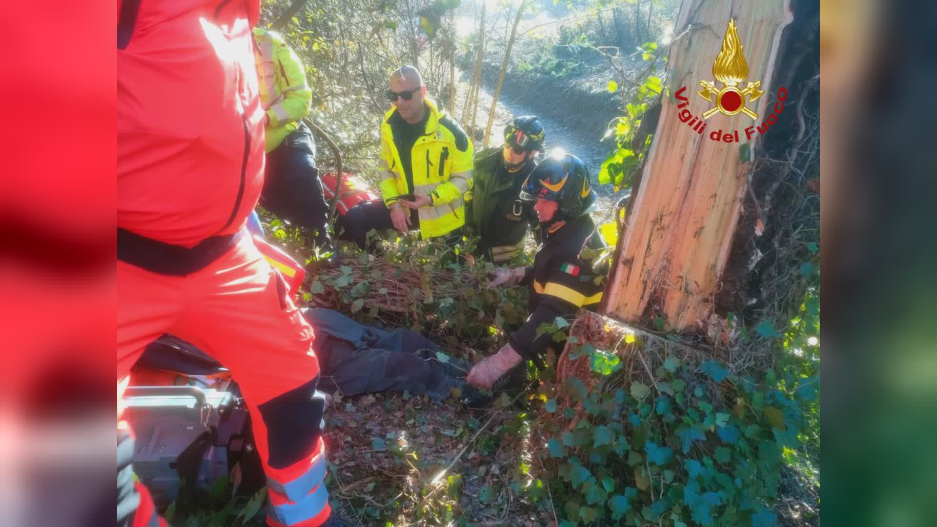 (aggiornamento) Pescia (Pt): morto sotto un albero