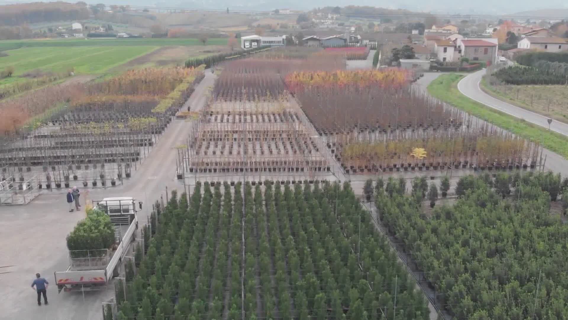 Toscana "regina" del florovivaismo italiano