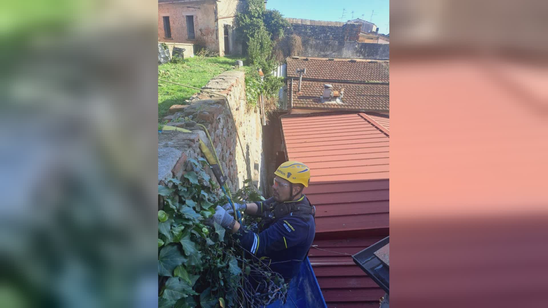 Pistoia - Lavori di ripulitura delle mura urbane