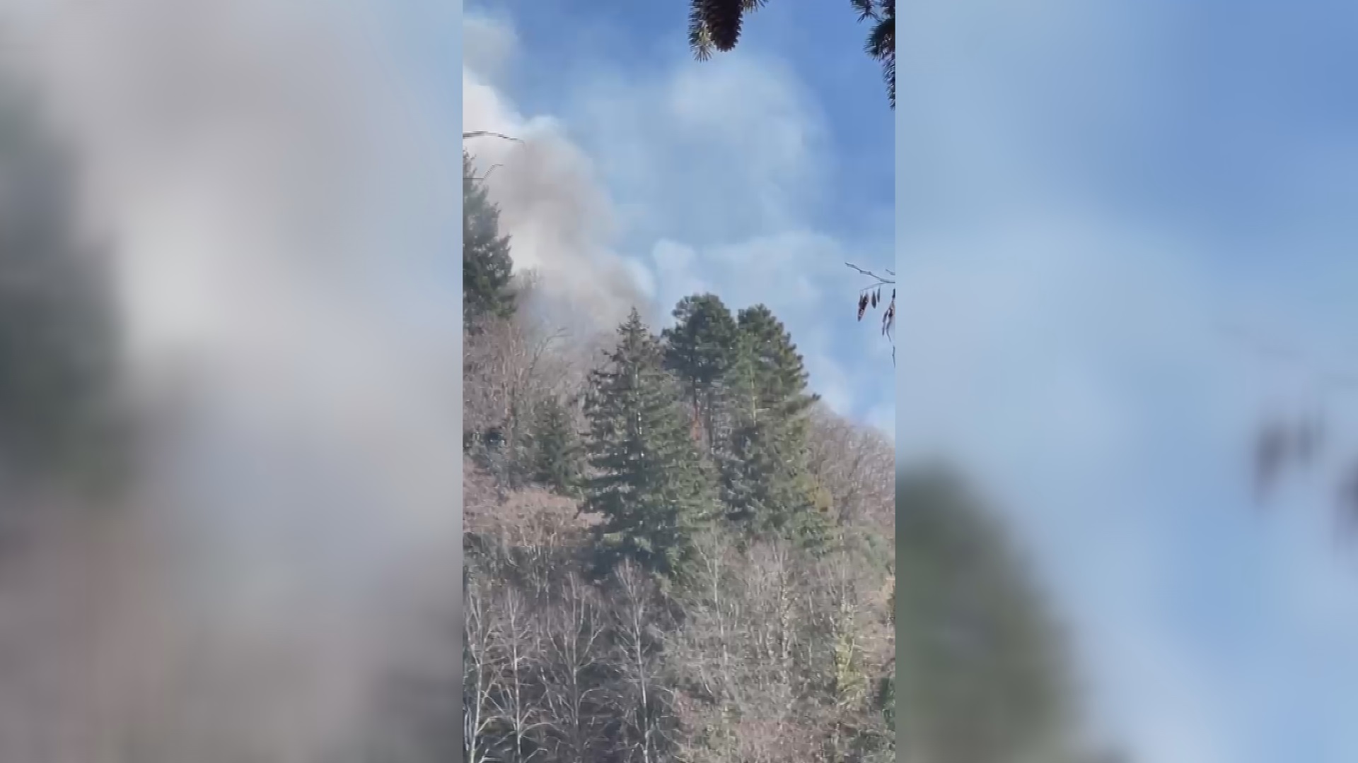 Incendio nei boschi di Vellano