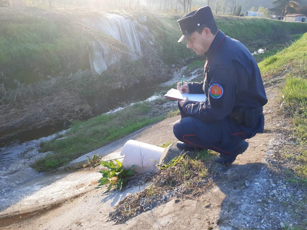 Cronaca, Pistoia: Carabinieri Forestali e inquinamento