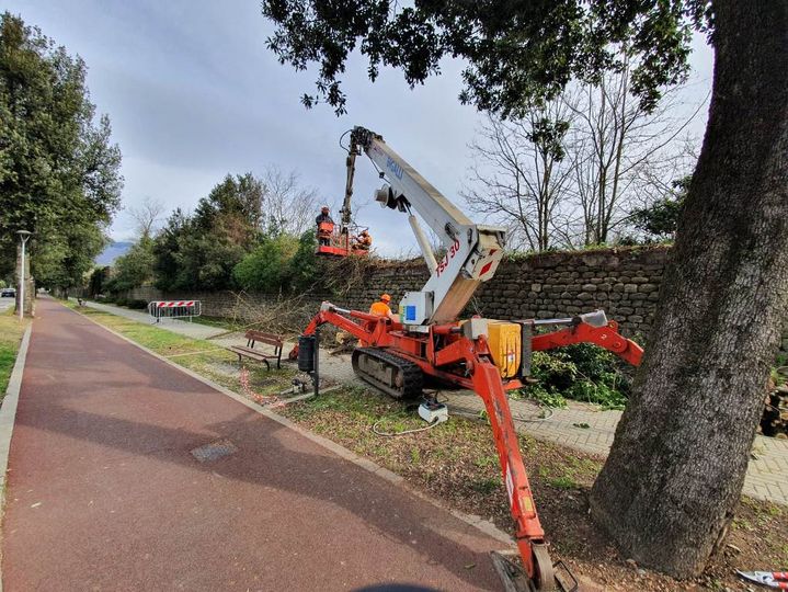 ​Pistoia. Ripulite mura lungo viale Arcadia