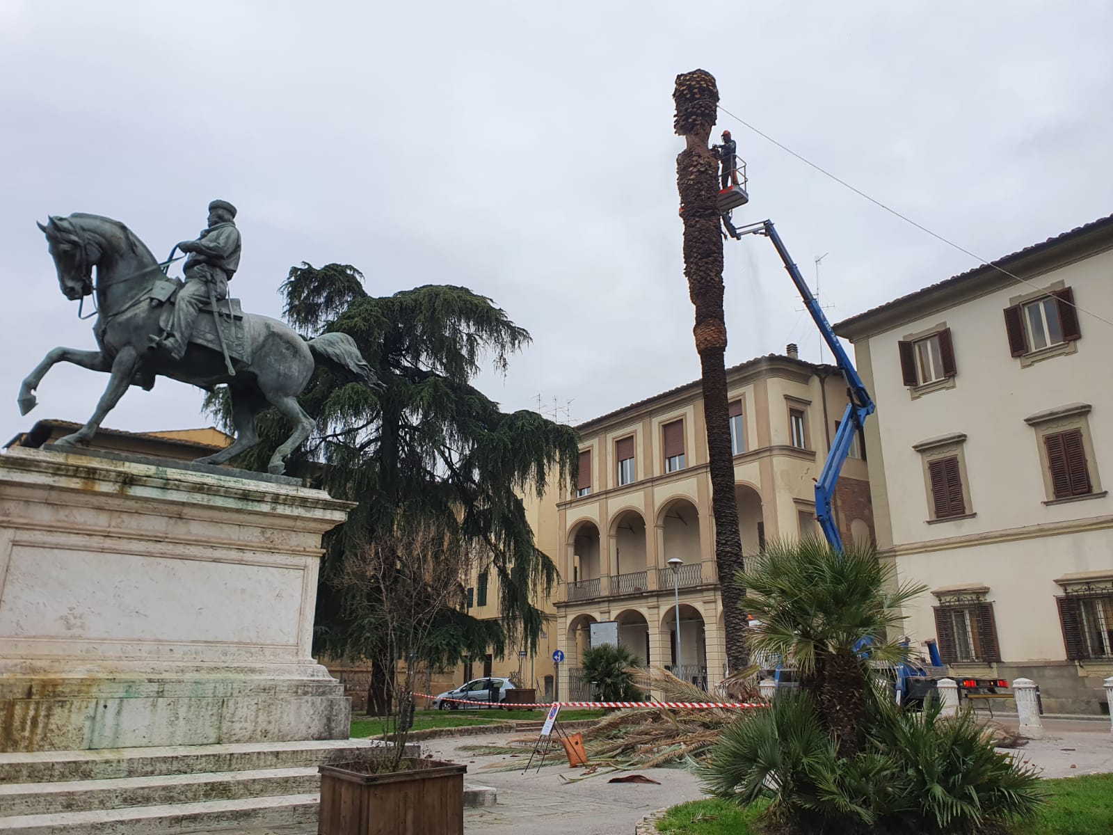 Pistoia: abbattuta la palma monumentale di piazza Garibaldi