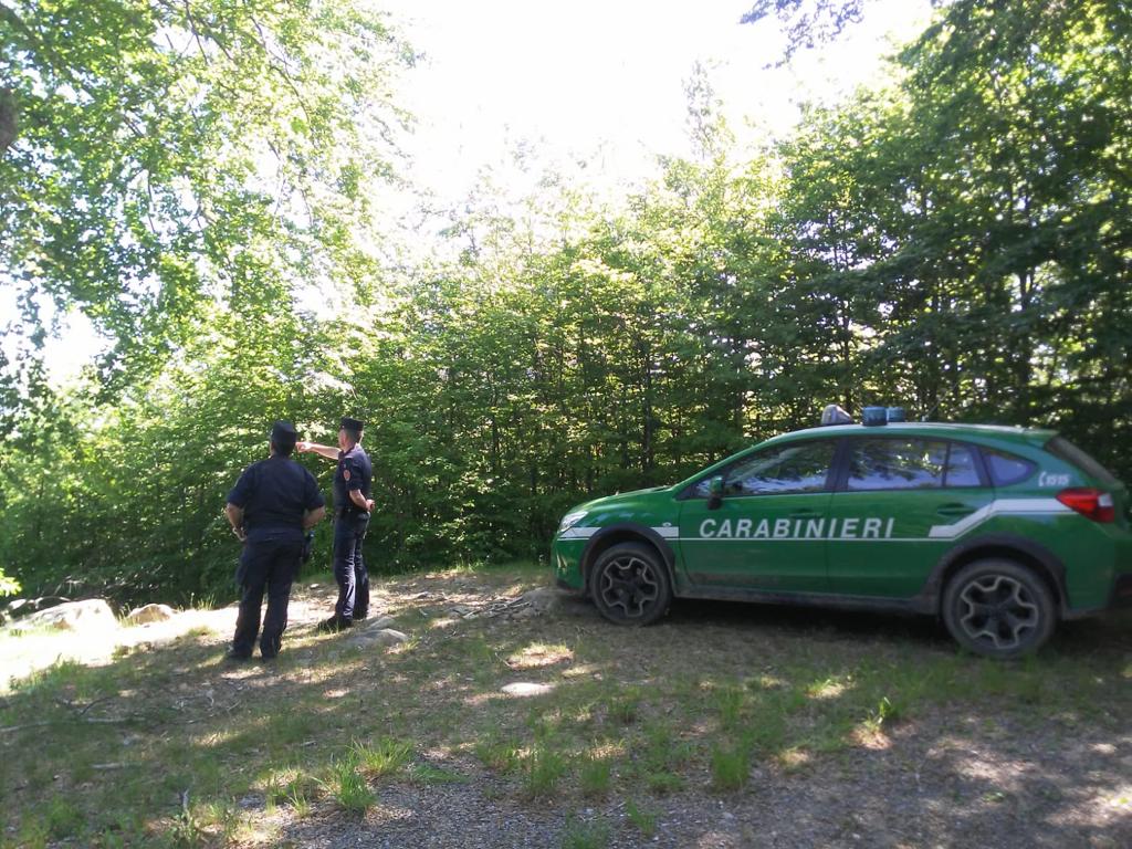 Animali selvatici soccorsi dai Carabinieri